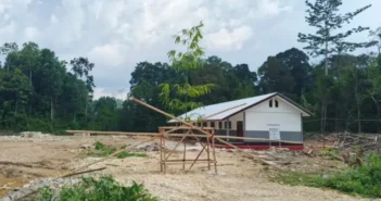Pohon Tumbang, Kepastian Hilang: Warga Tagih Janji Ganti Rugi Pemkab Fakfak
