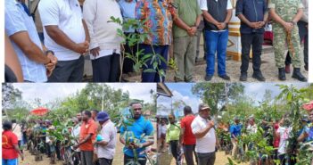 Songsong HUT Ke-70 Paroki Ayawasi, Pemkab Maybrat dan Pemprov PBD Hijaukan Bumi dengan 2.000 Pohon.