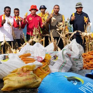 Hasil Pemberdayaan Masyarakat, Jagung PYCH Langsung Terserap di Pasar