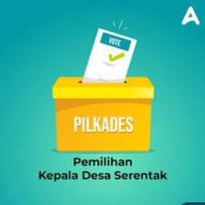 Partisipasi Demokrasi Lokal Pada Pemilihan Kepala Kampung Di Nabire
