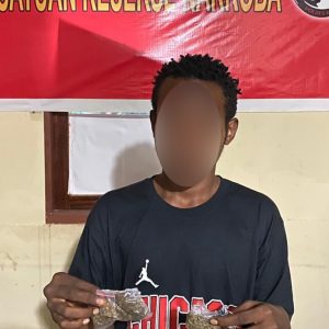 Seorang Pelajar Diamankan Kepolisian Nabire, Akibat Membawa Ganja