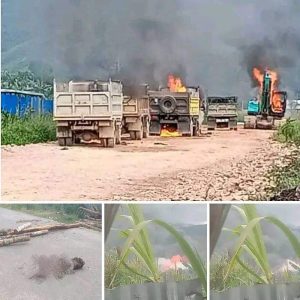 Kronologis Singkat Tentang Tabrakan Maut Dan Kericuhan Pasca Tabrakan Di Dogiyai