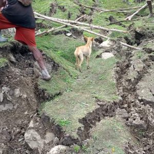 Belasan Rumah Warga Terhanyut Akibat Longsor di Kampung Bamba Distrik Homeyo Kabupaten Intan Jaya